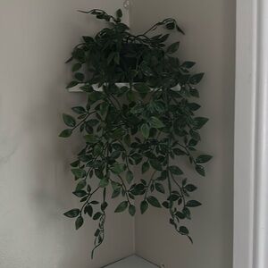 fake vine plant